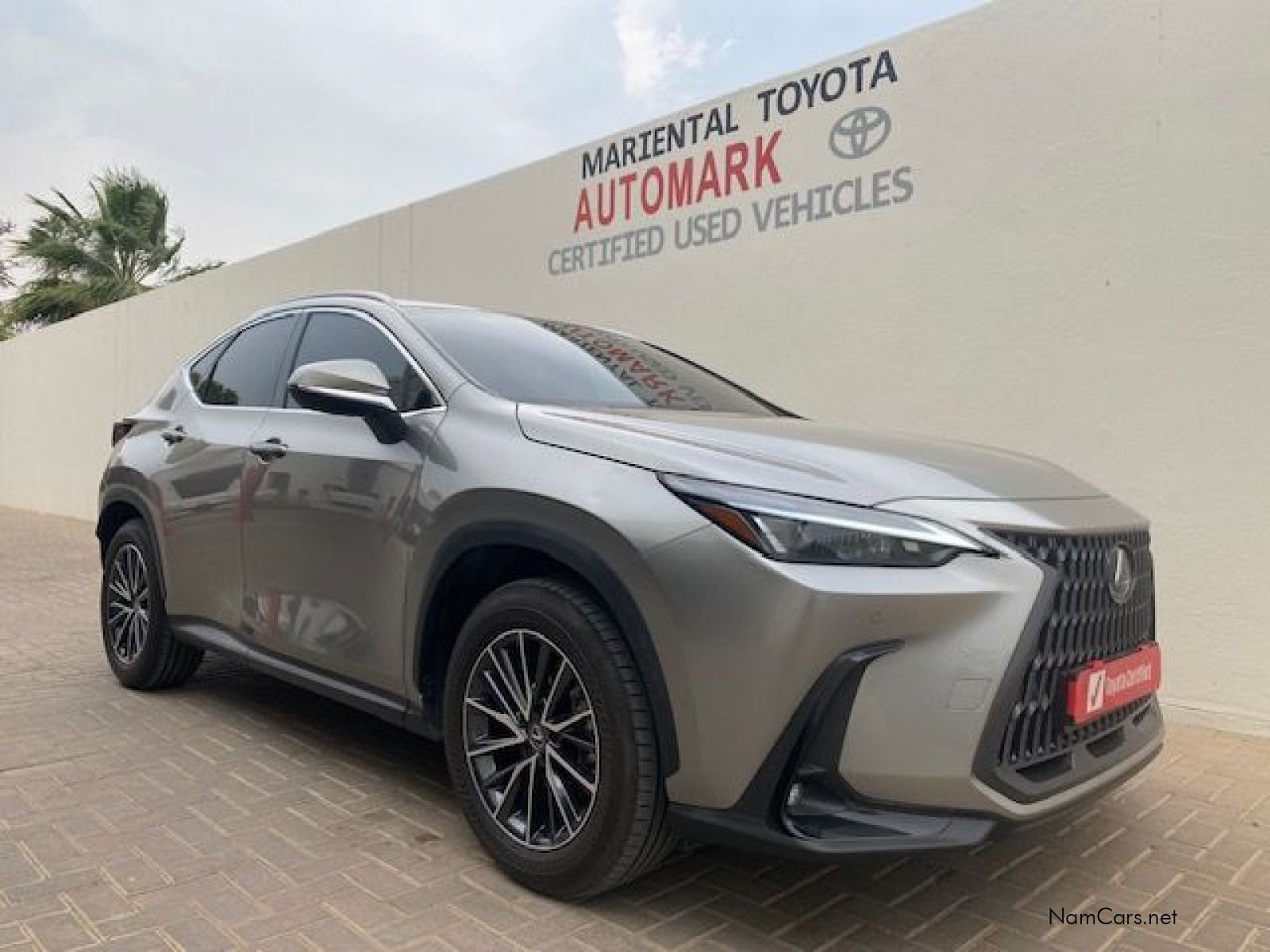 2025 Lexus NX photo 1