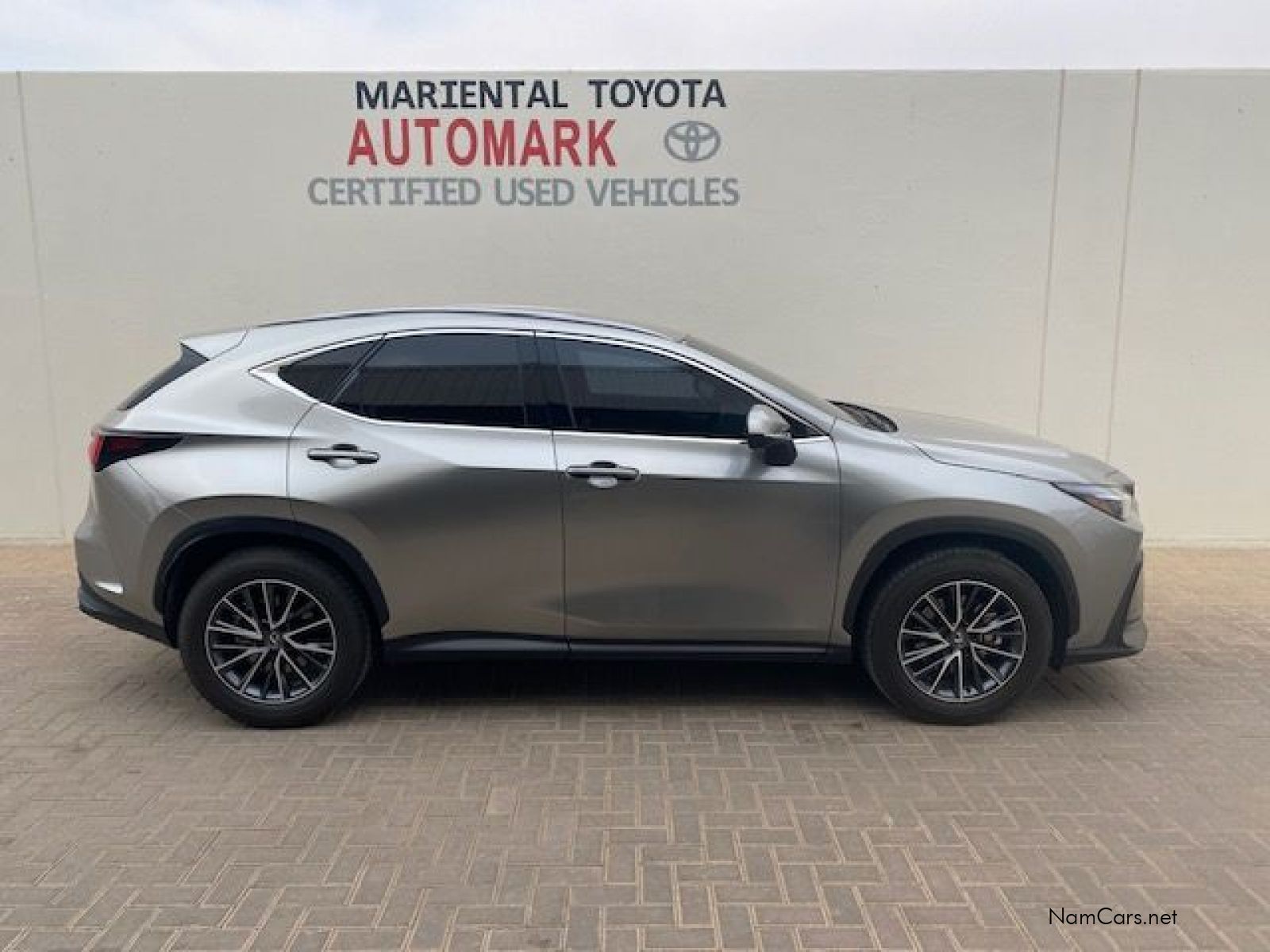 2025 Lexus NX photo 2