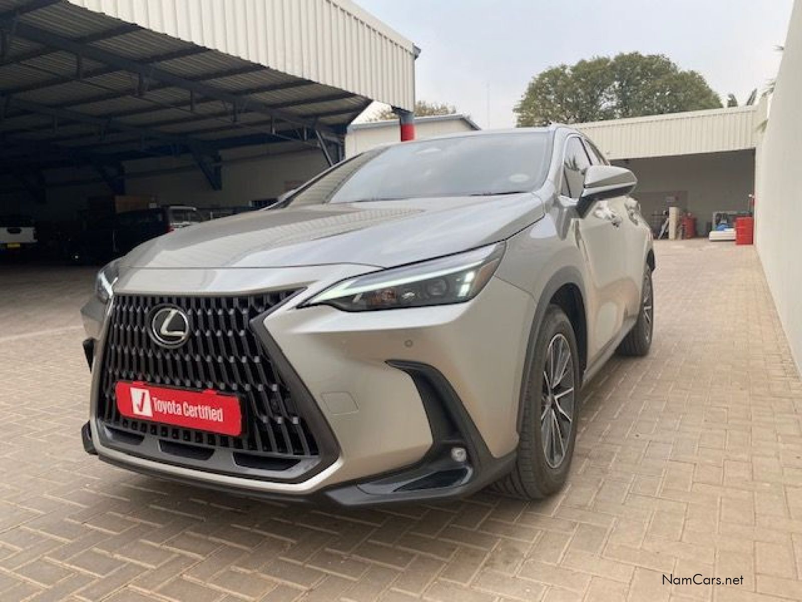 2025 Lexus NX photo 5