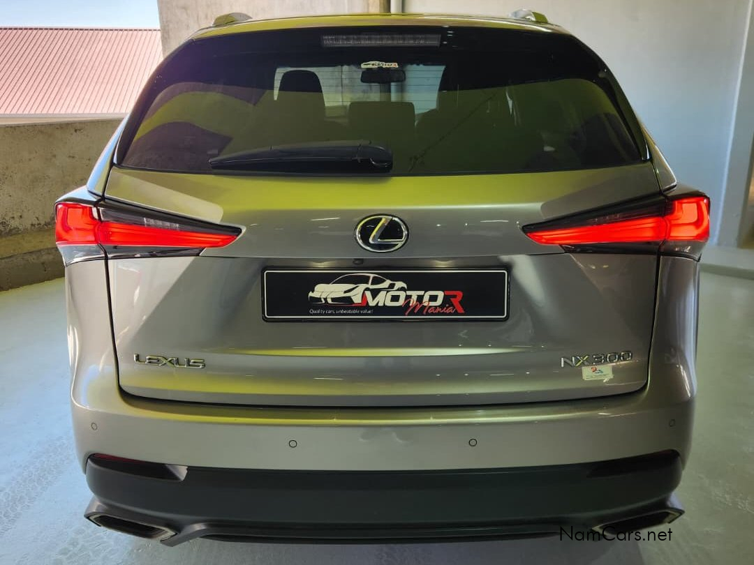 2018 Lexus NX photo 11