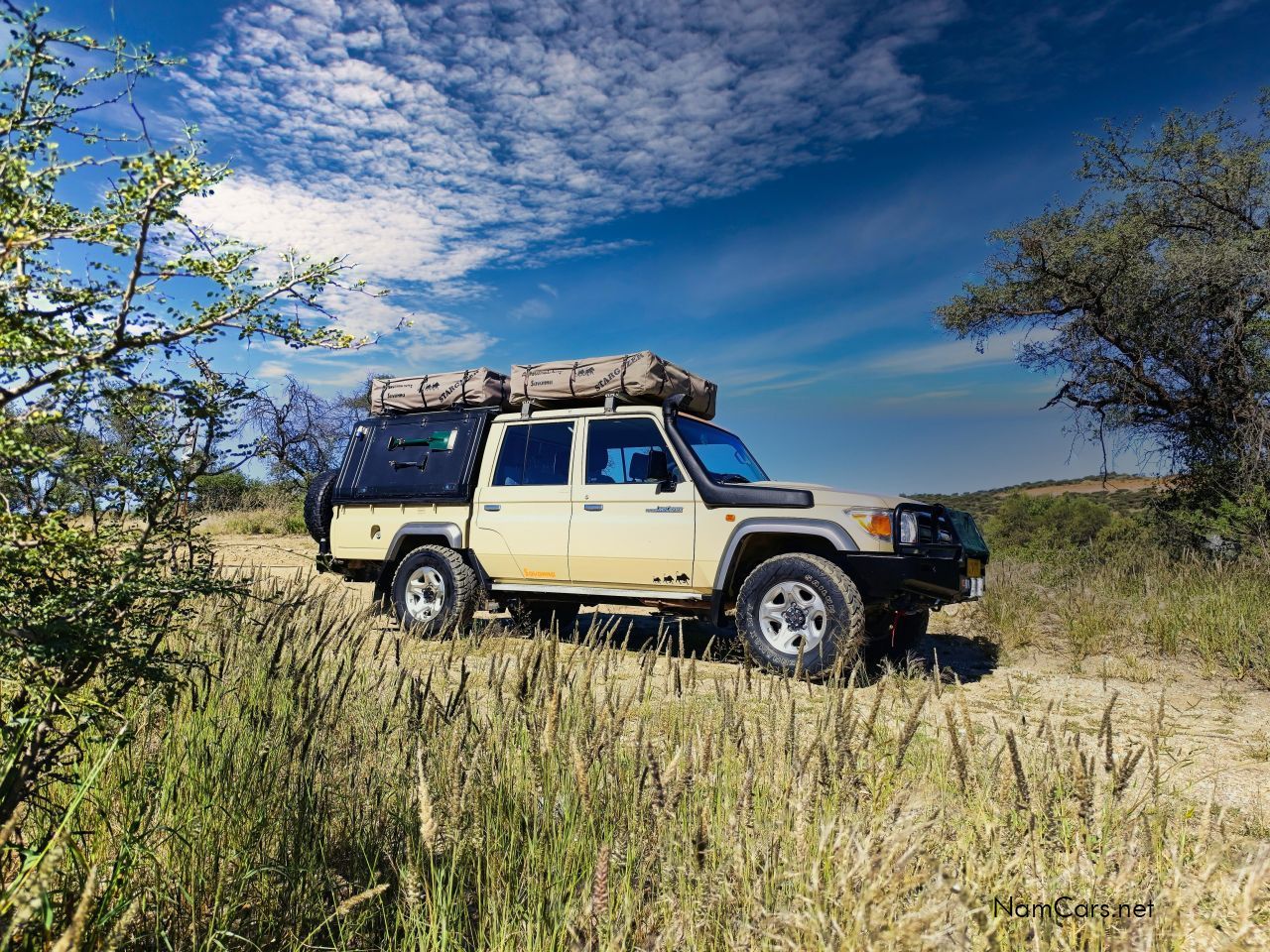 2018 Toyota Landcruiser  Double Cab 4.5 V8 or straight 6 4.2 photo 6